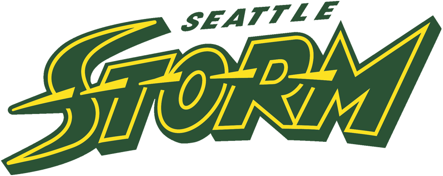 Seattle Storm 2016-Pres Wordmark Logo iron on transfers for clothing